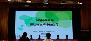 第十五屆泰山論壇 動物營養(yǎng)與飼料科學技術交流峰會2019圓滿落幕，技術轉(zhuǎn)讓成果豐碩